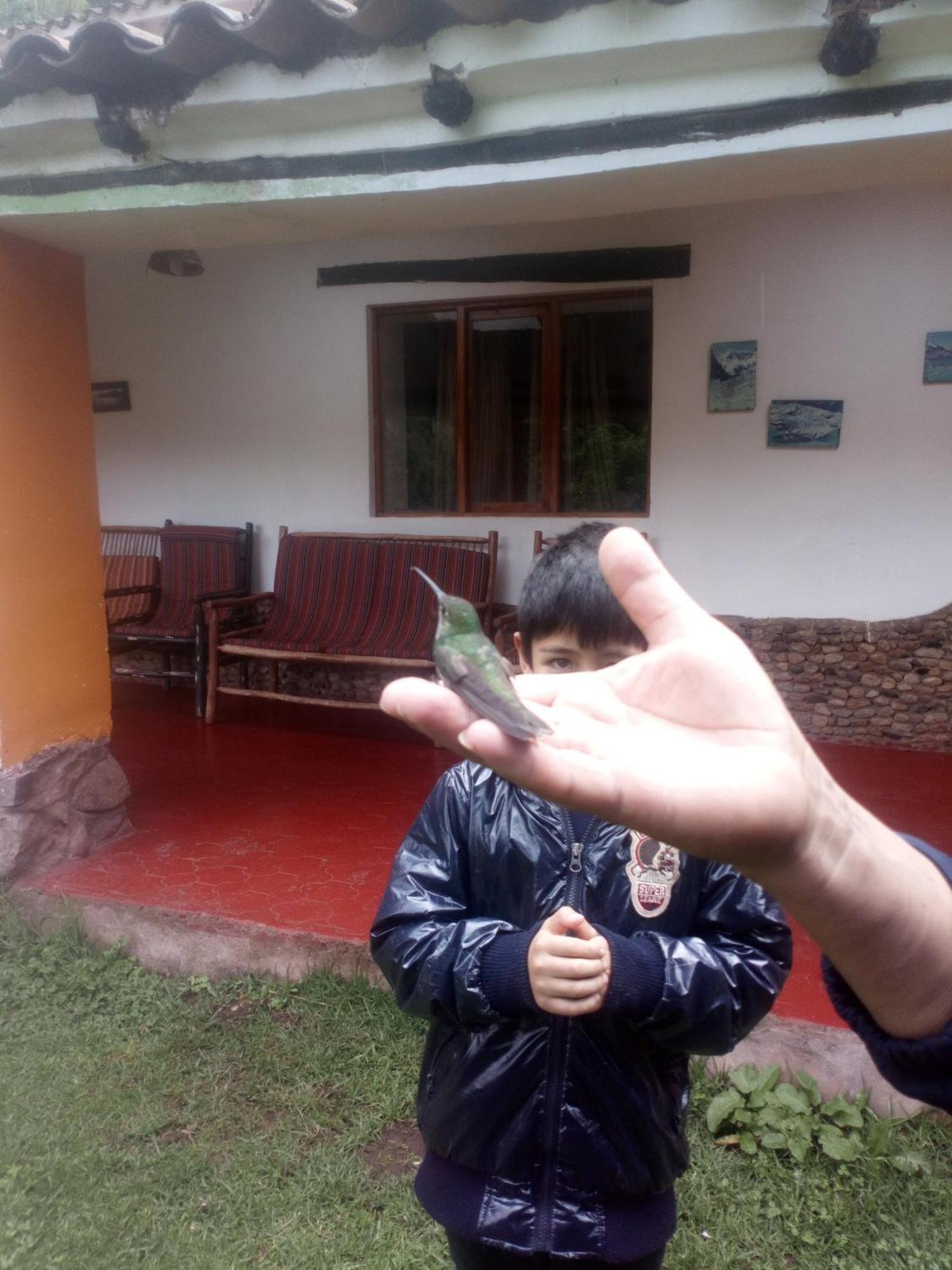 Ecolodge Ccatan Урубамба Екстериор снимка